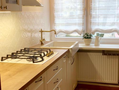 una cucina con fornello forno superiore accanto a un lavandino di Provance Apartment a Liepāja