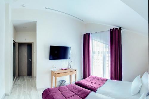 Телевизор и/или развлекательный центр в Chalet BFamilyHouse Bukovel
