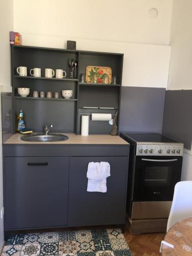 une petite cuisine avec un évier et une cuisinière dans l'établissement Casone Centre-ville, vue mer, à Ajaccio