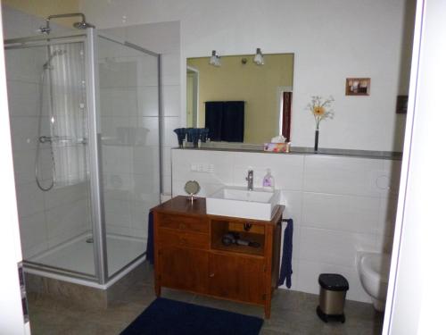 a bathroom with a sink and a shower at Gästehaus Rheinromantik in Bacharach
