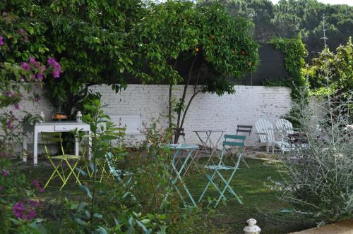 a garden with chairs and a table and a tree at Guerrini Hotel in Castiglioncello