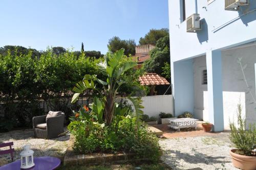 a patio with a chair and a plant in a yard at Guerrini Hotel in Castiglioncello