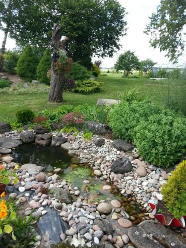 a garden with a pond with rocks and plants at "Lībieši" in Purmsāti