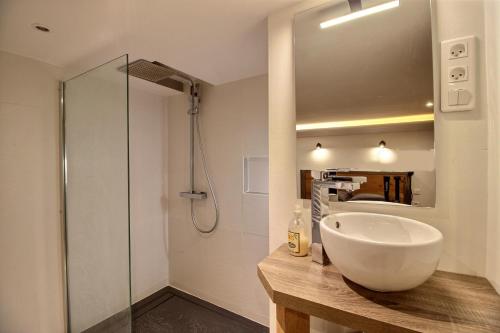 uma casa de banho com um lavatório e um chuveiro em TOULOUSE DUPLEX PLACE DU CAPITOLE em Toulouse