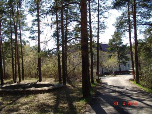 a road in a forest with trees and a building at Zhaylau Hotel in Shchūchīnsk