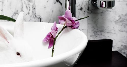 a white bathroom with a white sink with purple flowers in it at Nafs Hotel in Nafpaktos