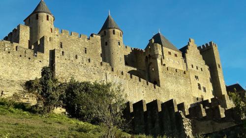 a large castle on top of a hill at Logis Hôtel Château De Palaja in Carcassonne