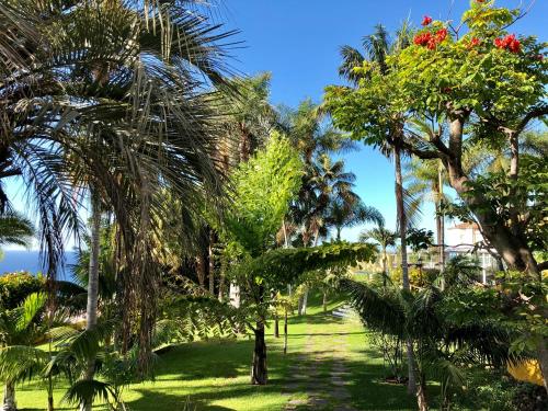 a park with palm trees and the ocean in the background at Hotel Tigaiga in Puerto de la Cruz