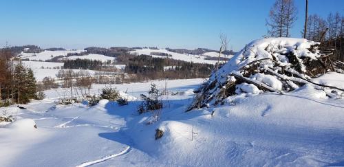 Gallery image of Chata Na Kovárně in Rýmařov