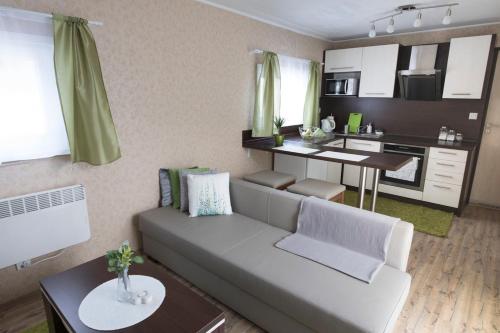 ein Wohnzimmer mit einem Sofa und einer Küche in der Unterkunft Hnilčík Motorest pod Krížom in Hnilčík