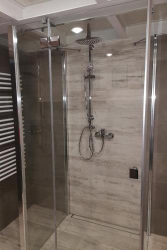 a shower with a glass door in a bathroom at LoftStyle Apartament in Żyrardów