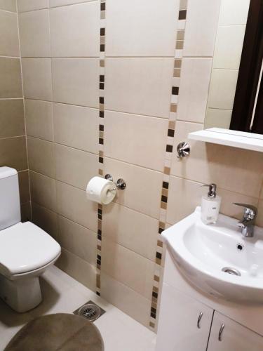 a bathroom with a toilet and a sink at Villa Domina in Gevgelija