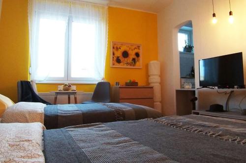 ein Wohnzimmer mit 2 Betten und einem Flachbild-TV in der Unterkunft BGMignonne, so cozy, so relaxing, so near center in Belgrad