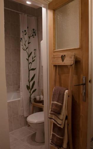 Un pequeño baño con inodoro y ducha. en BGMignonne, so cozy, so relaxing, so near center, en Belgrado