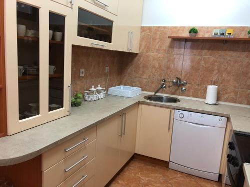 Kuchyň nebo kuchyňský kout v ubytování Apartments Popovic