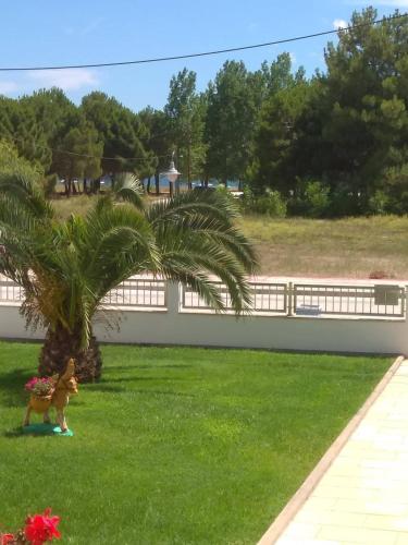 Κήπος έξω από το Susanna Apartments