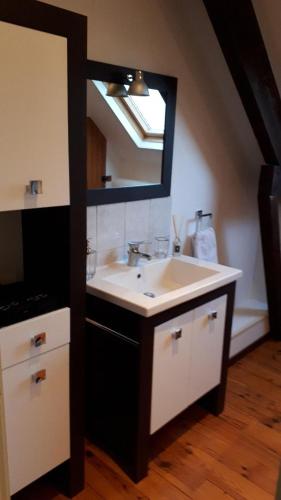 une salle de bain avec un lavabo et un miroir dans l'établissement Gite du Sorbier, à Le Chalard