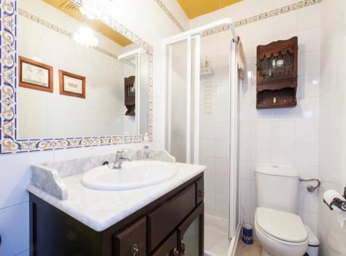 y baño con lavabo, aseo y ducha. en Apartamento Santa Cruz, en Sevilla
