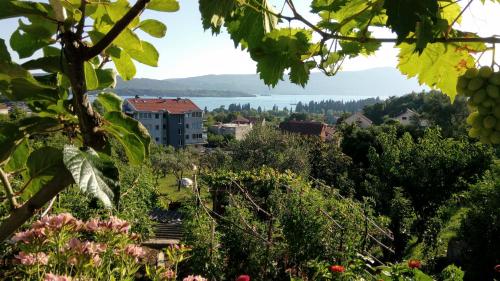 a view from a vineyard of a city and a lake at Apartmani Bosco in Tivat