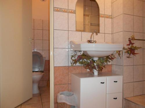 ミジューにあるGite rural La Mijolieのバスルーム(洗面台、トイレ付)