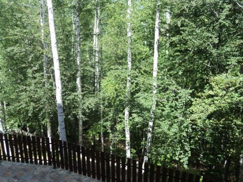 Fotografie z fotogalerie ubytování Hotel Asara v destinaci Ardino