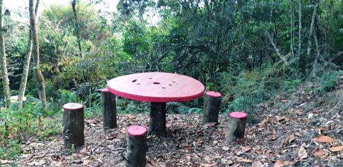 a red mushroom bench in the middle of a forest at Cabañas La Campiña Ubalá in Ubalá