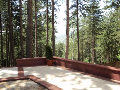 Fotografie z fotogalerie ubytování Hotel Asara v destinaci Ardino