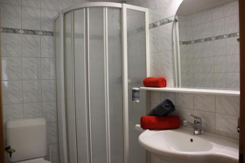 a bathroom with a shower and a sink and a toilet at Hotel Camona & Apart Walserhof in Samnaun