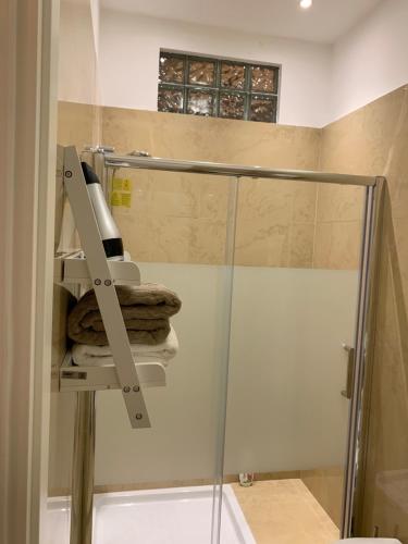 a bathroom with a shower and a glass shower stall at FiumicinoA57 in Fiumicino