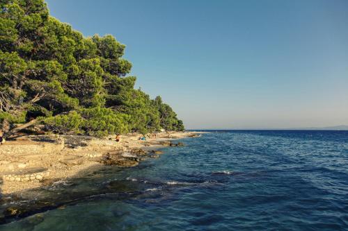 Fotografie z fotogalerie ubytování Mobile Homes Camp Baško Polje - Adriatic Kampovi v destinaci Baška Voda