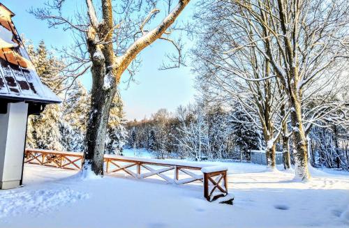 Gallery image of Rodinný hotel Pod Bílou skálou in České Křižánky