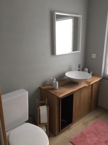 a bathroom with a sink and a toilet and a mirror at Ferme de la Petite Fagne in Spa