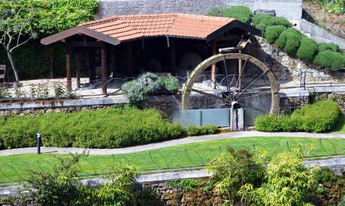 Κήπος έξω από το Hotel Lago Bin