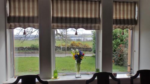 a vase of flowers sitting on a window sill at Arrochoile in Balmaha
