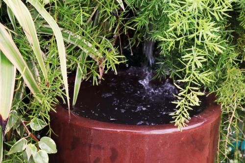 a red pot with green plants in it at Pousada Santa Thereza in Serra Negra