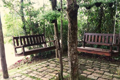 two wooden benches in a park with trees at Pousada Santa Thereza in Serra Negra
