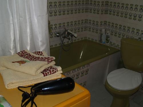 a bathroom with a green tub and a black phone at The Ideal House In The City Center in Veria