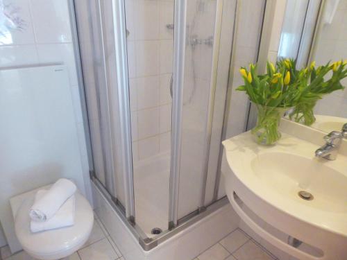 a bathroom with a shower and a toilet and a sink at Parkhotel in Bad Waldsee