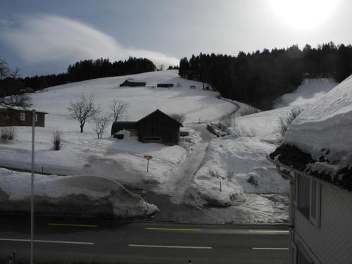 a snow covered hill with a house and a road at Landgasthaus Bären in Grub
