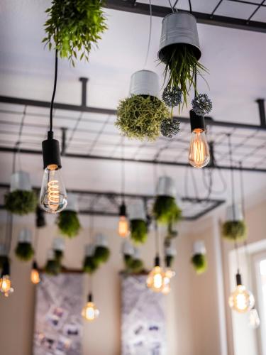 a room with lights and plants hanging from the ceiling at Hotel DH -Deutsches Haus- in Emden