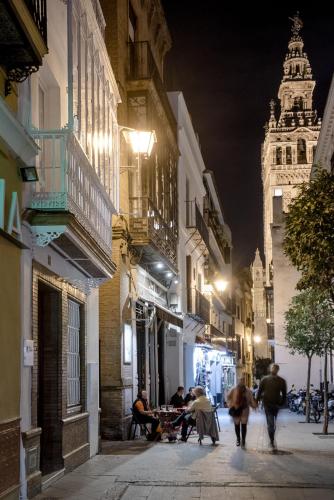 Hostly Placentines Catedral photo 66