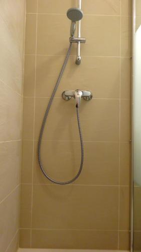 une douche avec un tuyau dans une salle de bain dans l'établissement My Apartment-Metz, à Metz