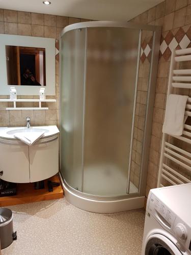 une salle de bain avec douche et lavabo dans l'établissement Appartement Le Caboen Les Planards, à Chamonix-Mont-Blanc