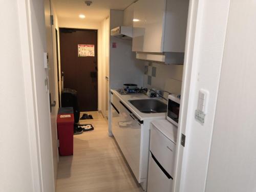 リブシティ錦糸町参番館上層階スカイツリーの眺望, Akihabara 6mins,Tokyo 8 mins, Direct to Narita Airport 成田空港直達