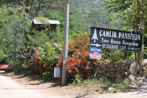 Gallery image of Olympos Camlık Pension in Olympos