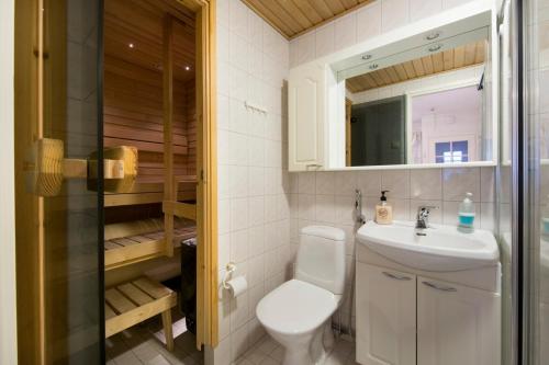 bagno con servizi igienici, lavandino e specchio di Polar Star Moonlight Apartments a Levi