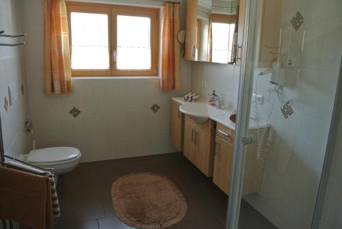a bathroom with a toilet and a sink and a shower at Ferienwohnung Breyer, südliches Allgäu in Hopferau