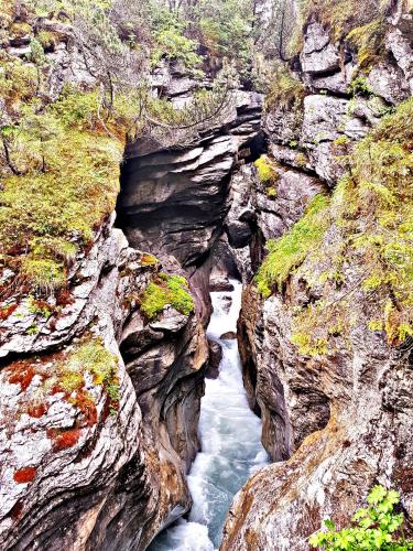 a river flows through a rocky canyon at Alpenlodge in Willigen