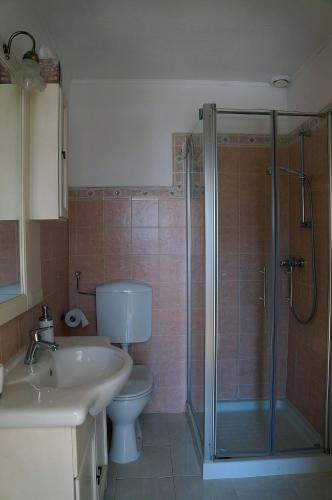 a bathroom with a shower and a toilet and a sink at Haus Judith in Steindorf am Ossiacher See