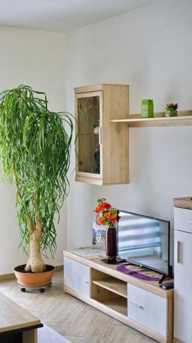 Apartments Pravica – Photos 4